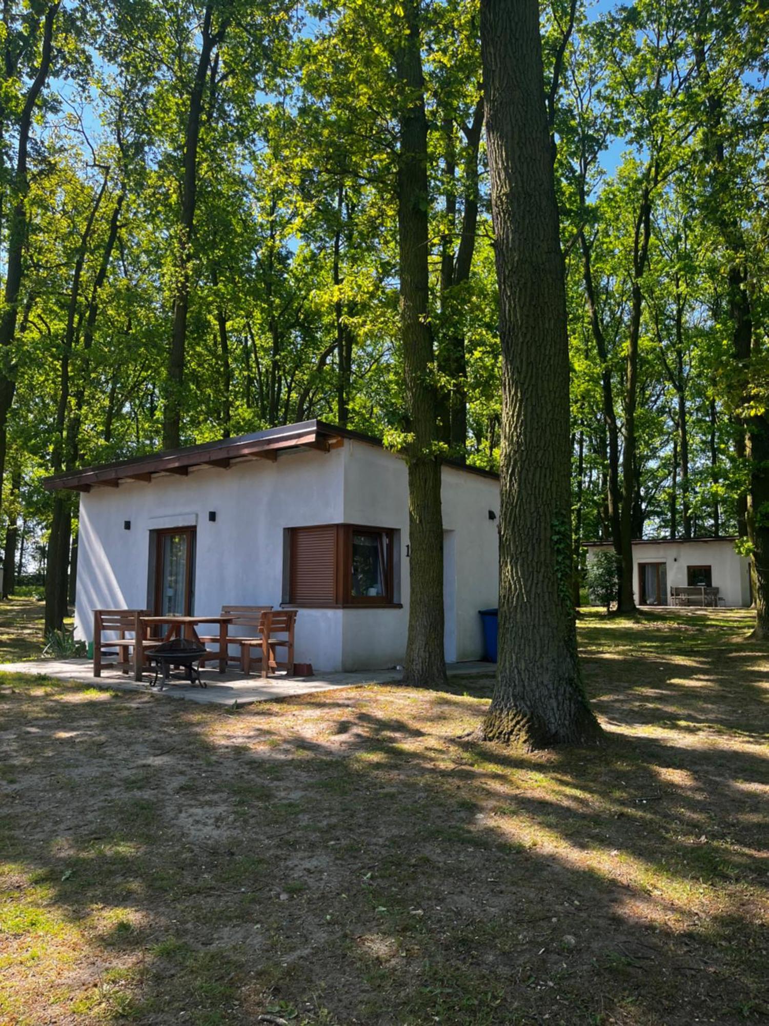 Domki Pod Debami Mojecice Zewnętrze zdjęcie